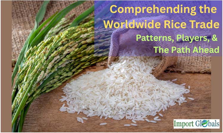 Comprehending the Worldwide Rice Trade: Patterns, Players, and the Path Ahead
