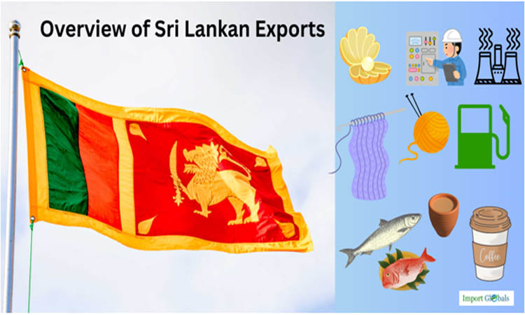 Overview of Sri Lankan Exports: A Comprehensive Study of the Nation's Export Outcomes