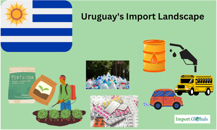 Uruguay's Import Landscape: A Thorough Study