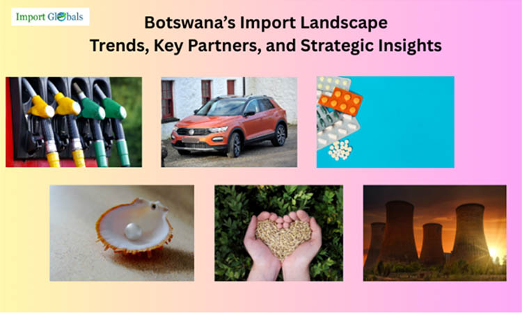 Botswana’s Import Landscape: Trends, Key Partners, and Strategic Insights