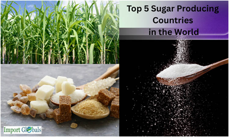 Top 5 Sugar Producing Countries in the World